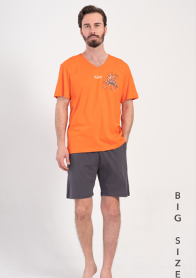 PIŻAMA MĘSKA model: 4091820000 (1XL, 2XL, 3XL, 4XL)