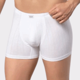 BOKSERKI MĘSKIE Bambus model: 4432 (M, L)