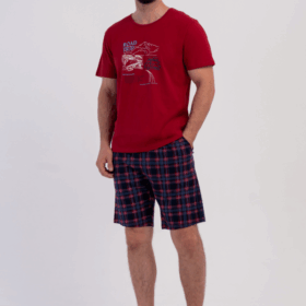 PIŻAMA MĘSKA model: 6060535040 (M, L, XL, XXL)