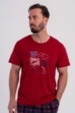 PIŻAMA MĘSKA model: 6060535040 (M, L, XL, XXL) - obrazek 3